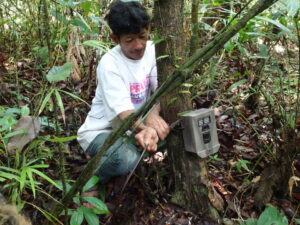 Wildlife monitoring