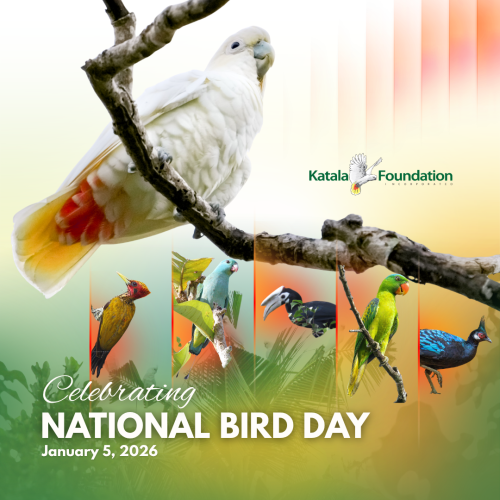National Bird Day