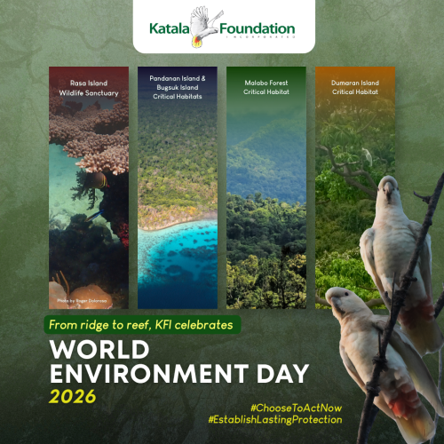 World Environment Day