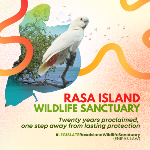 20th Anniv Rasa